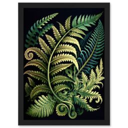 Artery8 Ernst Haeckel Style Fern Fronds Leaf Illustration Artwork Framed Wall Art Print A4 in Black - thumbnail 1