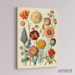 "Artery8 Vintage Botanical Flowers Haeckel Inspired Canvas Wall Art Print - Size: W18"" x H24""" - thumbnail 2