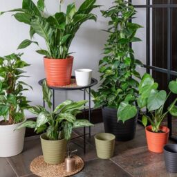 Ivyline Oslo Cayenne Taper Planter - H27cm D32cm - 4 Colours & 2 Sizes Available Online - Ceramic - Made in Europe in Burnt Orange - thumbnail 4
