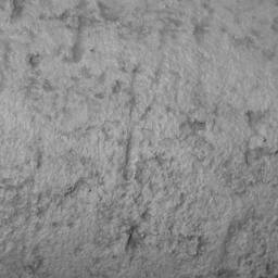 Wyld and Coco Grey Stone Fibre Clay Planter Weatherproof Indoor Outdoor - thumbnail 3