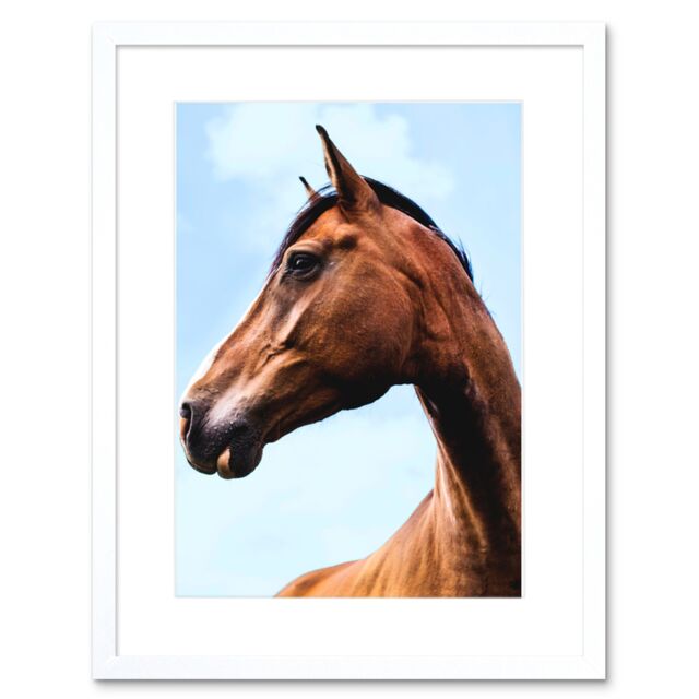 "Artery8 Wall Art Print Paysen Brown Horse Head Framed in White - Size: W7"" x H9""" - image 1