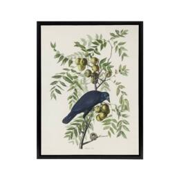 "Artery8 American Crow on Walnut Tree Audubon Nature Black Framed Canvas Art in White - Size: W24"" x H32""" - thumbnail 1