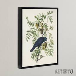 "Artery8 American Crow on Walnut Tree Audubon Nature Black Framed Canvas Art in White - Size: W24"" x H32""" - thumbnail 2