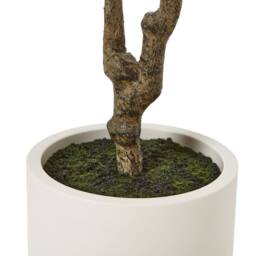 Wyld Haus 210cm Extra Tall Artificial Olive Tree in White Ceramic Pot in Brown - thumbnail 6