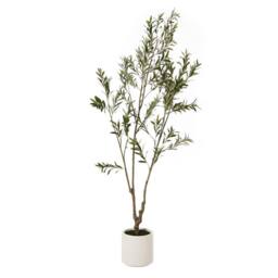 Wyld Haus 210cm Extra Tall Artificial Olive Tree in White Ceramic Pot in Brown - thumbnail 3