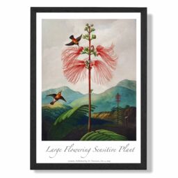 ARTZE Vintage Floral Exhibition - Flowering Plant Framed Print SIZE: A4 with Black Frame in Red