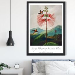ARTZE Vintage Floral Exhibition - Flowering Plant Framed Print SIZE: A4 with Black Frame in Red - thumbnail 2
