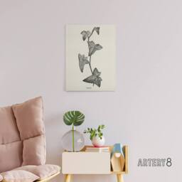 "Artery8 Vintage Botanical Sagittifolia Ivy Hibberd Canvas Wall Art in White - Size: W18"" x H24""" - thumbnail 3