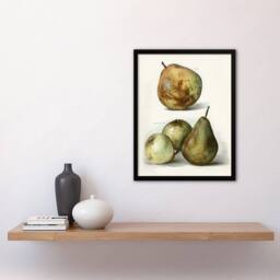 Artery8 Pear Varieties Vintage Fruit Illustration Wright Framed Wall Art Print in White - Size: A4 - thumbnail 4
