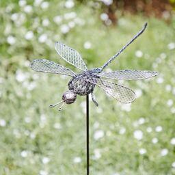 Paper High Anax Metal Dragonfly Garden Stake Decoration in Silver - thumbnail 2