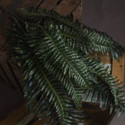 Love Lace Fern Bunch Artificial Flower in Green - thumbnail 2
