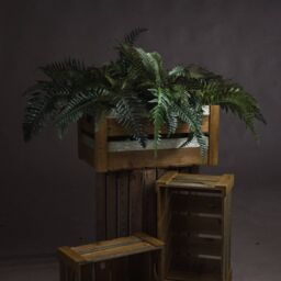 Love Lace Fern Bunch Artificial Flower in Green - thumbnail 1