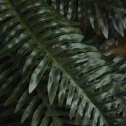 Love Lace Fern Bunch Artificial Flower in Green - thumbnail 3