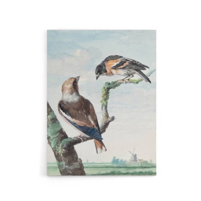 "Artery8 Two Hawfinch Birds in Rural Landscape Schouman Canvas Wall Art Print in Blue - Size: W12"" x H16""" - image 1
