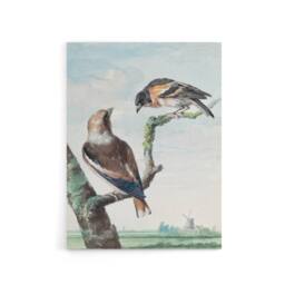 "Artery8 Two Hawfinch Birds in Rural Landscape Schouman Canvas Wall Art Print in Blue - Size: W12"" x H16""" - thumbnail 1