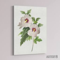 "Artery8 Hibiscus Flower Illustration Redoute Vintage Canvas Wall Art in White - Size: W18"" x H24""" - thumbnail 2
