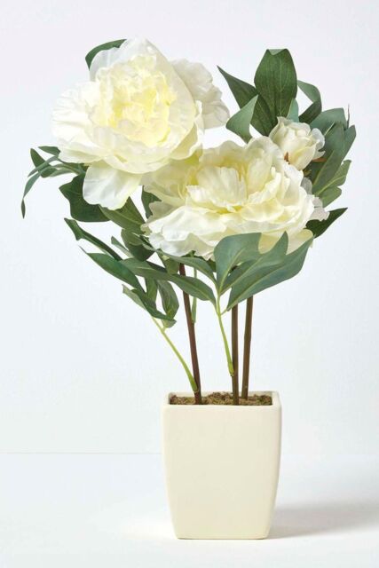 Homescapes Artificial Peonies in Decorative Pot, 48 cm Tall in Cream - image 1