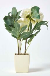 Homescapes Artificial Peonies in Decorative Pot, 48 cm Tall in Cream - thumbnail 5