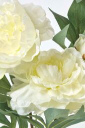 Homescapes Artificial Peonies in Decorative Pot, 48 cm Tall in Cream - thumbnail 4