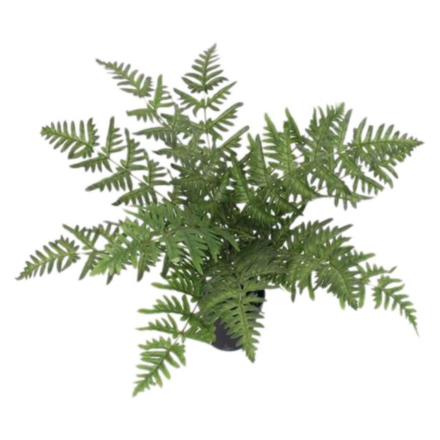 Leaf 50cm Luxury Artificial Evergreen Fern Plant in Green - image 1