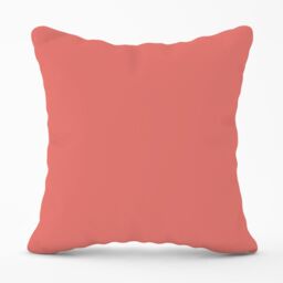 Warren Reed - Designer Coral Pink Outdoor Cushion - Size: 60 cm x 60 cm - thumbnail 1