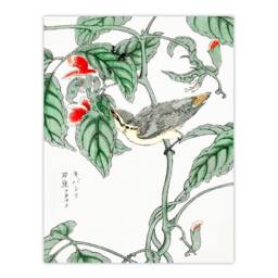 Artery8 Numata Kashu Framed Wall Art Print Tree Creeper & Pea Japan - Size: A4 - thumbnail 3