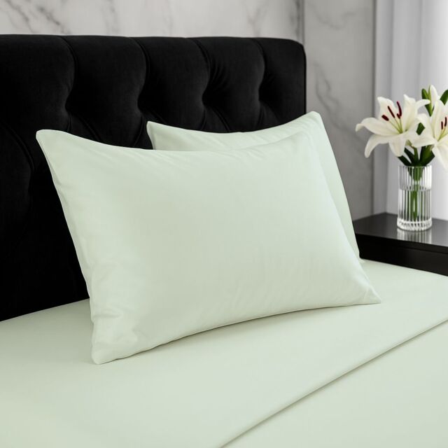 Snug City Microfibre Soft Touch Plain Dyed Housewife Pillowcase Pair in Duck Egg Blue - image 1