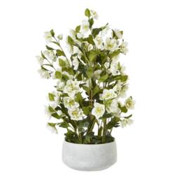 Hill Interiors Hellebore Artificial Potted Plant 41cm x 33cm x 38cm in White - Size: 41 cm x 33 cm x 38 cm - thumbnail 1