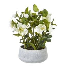 Hill Interiors Hellebore Artificial Potted Plant 41cm x 33cm x 38cm in White - Size: 41 cm x 33 cm x 38 cm - thumbnail 2
