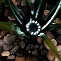 Primrose Narcissi Garden Flower Steel Water Feature with Lights Garden 100cm in Light Grey - thumbnail 6
