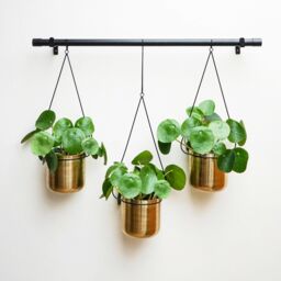 Ivyline Linear Hanging Plant Pots, Black & Gold - thumbnail 1