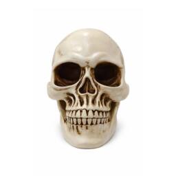 Voltico Realistic Resin Human Skull Ornament in Beige - thumbnail 3