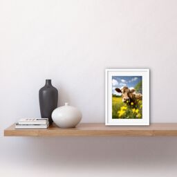 "Artery8 Wall Art Print Buttercup the Cow Photo Meadow Flowers Photograph Countryside Animal Spring Field Artwork Framed 9X7 Inch - Size: W7"" x H9""" - thumbnail 2