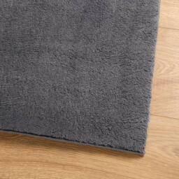 Berkfield Home Rug Short Pile Soft & Washable Anthracite 60x110 cm in Dark Grey - Size: 100 cm diameter - thumbnail 4