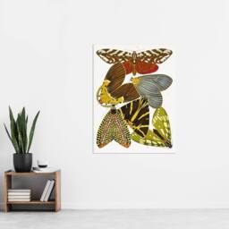 "Artery8 Butterfly Illustration Vintage Wall Art Print Eugene Seguy - Size: W12"" x H16""" - thumbnail 4