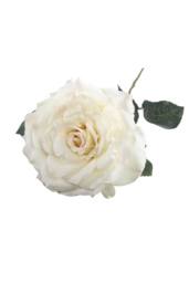 KDMD 74cm Single Aidde Rose Cream White - thumbnail 1