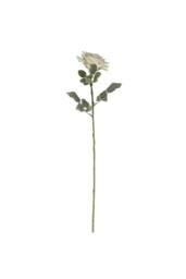KDMD 74cm Single Aidde Rose Cream White - thumbnail 6
