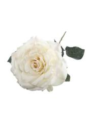 KDMD 74cm Single Aidde Rose Cream White - thumbnail 3