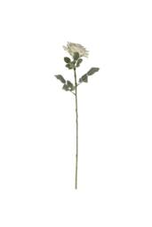 KDMD 74cm Single Aidde Rose Cream White - thumbnail 4