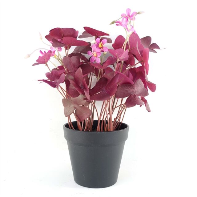 Leaf 30cm Artificial Plant Purple Shamrock Pink Flowers Potted - image 1