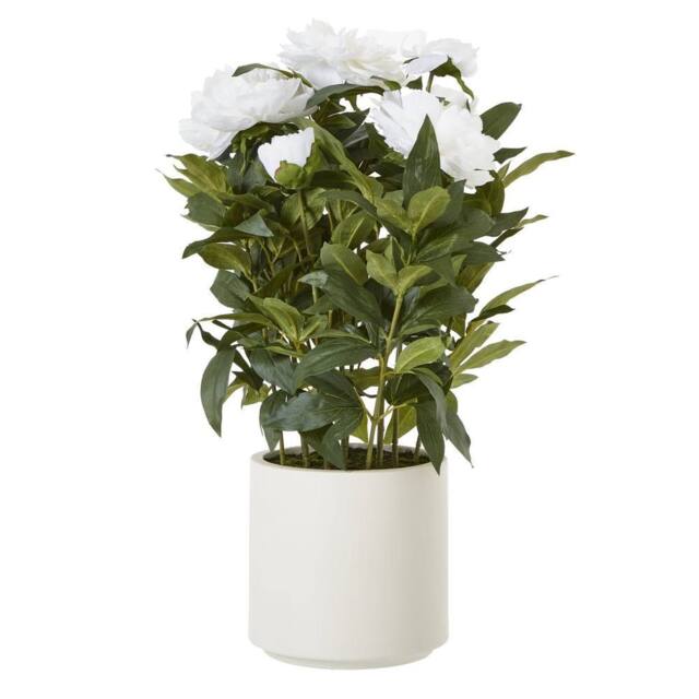 Wyld Haus Large White Peony Artificial Plant in White Ceramic Pot - image 1