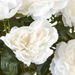 Wyld Haus Large White Peony Artificial Plant in White Ceramic Pot - thumbnail 2