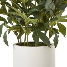 Wyld Haus Large White Peony Artificial Plant in White Ceramic Pot - thumbnail 4