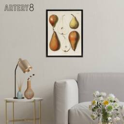 "Artery8 Fresh Pears Halved Fruit Berghuis Vintage Black Framed Canvas Wall Art in White - Size: W12"" x H16""" - thumbnail 3