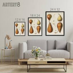 "Artery8 Fresh Pears Halved Fruit Berghuis Vintage Black Framed Canvas Wall Art in White - Size: W12"" x H16""" - thumbnail 4