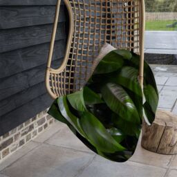 Benjamin Tate Design Closeup of beautiful glossy green leaves Designer Blanket in Natural - Size: 120 cm x 150 cm - thumbnail 3