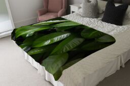 Benjamin Tate Design Closeup of beautiful glossy green leaves Designer Blanket in Natural - Size: 120 cm x 150 cm - thumbnail 4
