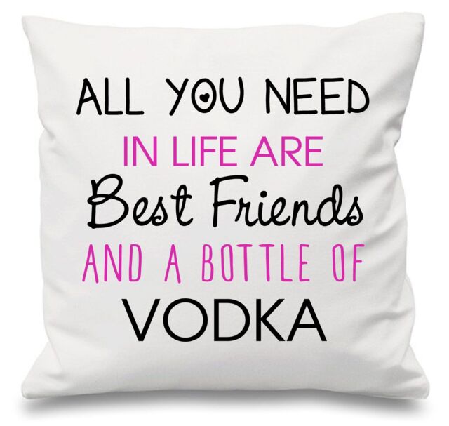 "60 SECOND MAKEOVER Cushion Cover All You Need In Life Are Best Friends & A Bottle Of Vodka 16"" x 16"" in White - Size: 40 cm x 40 cm"