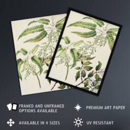 Artery8 New Zealand Ongaonga Tree Nettle Plant Featon Framed Wall Art Print in Beige - Size: A4 - thumbnail 2