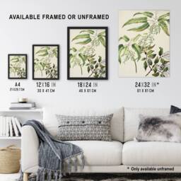 Artery8 New Zealand Ongaonga Tree Nettle Plant Featon Framed Wall Art Print in Beige - Size: A4 - thumbnail 3